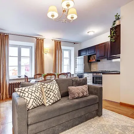 Domillion Cozy 2bdr On Stikliu Str S43 Apartament