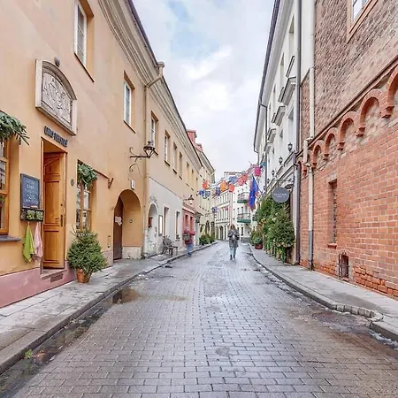 Domillion Cozy 2bdr On Stikliu Str S43 Lejlighed