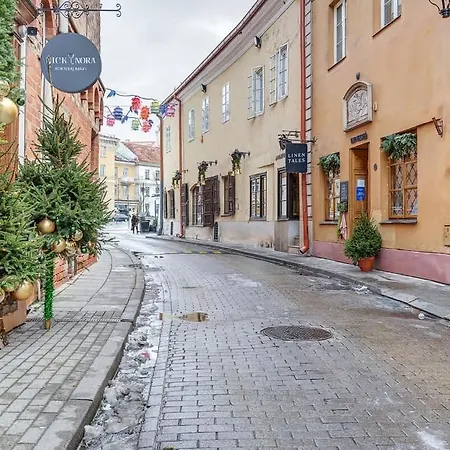 Lejlighed Domillion Cozy 2bdr On Stikliu Str S43 Vilnius