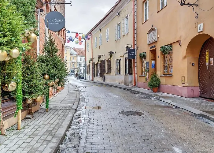 Lejlighed Domillion Cozy 2bdr On Stikliu Str S43 Vilnius